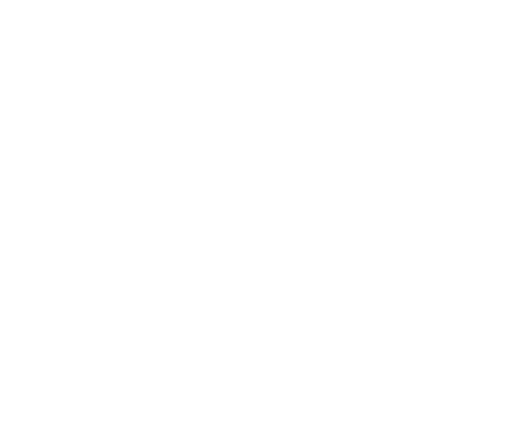 Saveur Beverages